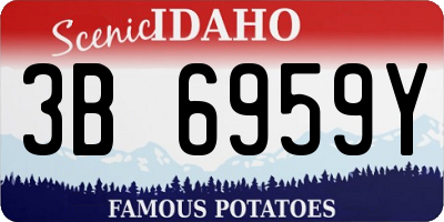 ID license plate 3B6959Y