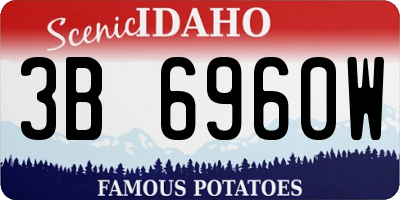 ID license plate 3B6960W