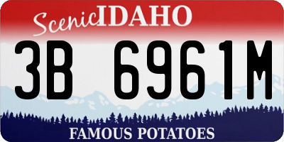 ID license plate 3B6961M