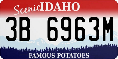 ID license plate 3B6963M