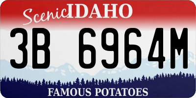 ID license plate 3B6964M