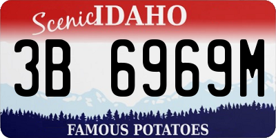 ID license plate 3B6969M