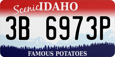 ID license plate 3B6973P