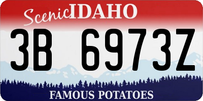 ID license plate 3B6973Z