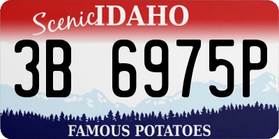 ID license plate 3B6975P