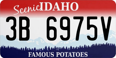 ID license plate 3B6975V