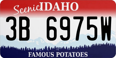 ID license plate 3B6975W