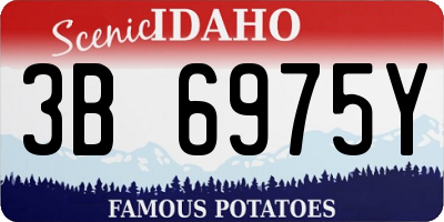 ID license plate 3B6975Y