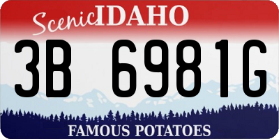 ID license plate 3B6981G
