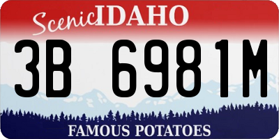ID license plate 3B6981M