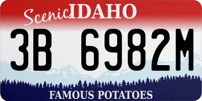 ID license plate 3B6982M