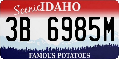 ID license plate 3B6985M