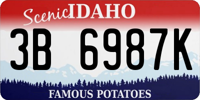 ID license plate 3B6987K