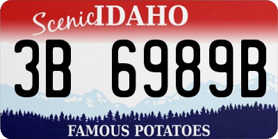 ID license plate 3B6989B