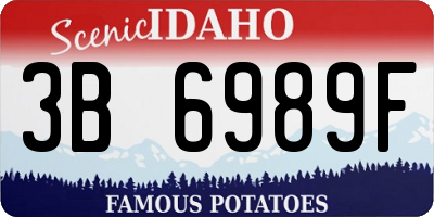 ID license plate 3B6989F