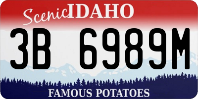 ID license plate 3B6989M