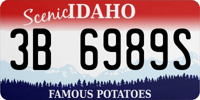 ID license plate 3B6989S