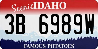 ID license plate 3B6989W