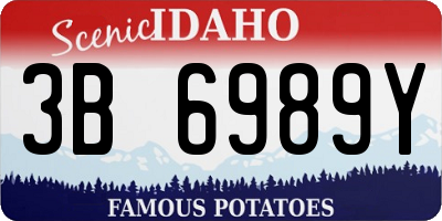 ID license plate 3B6989Y