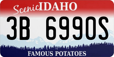 ID license plate 3B6990S