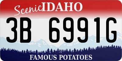 ID license plate 3B6991G