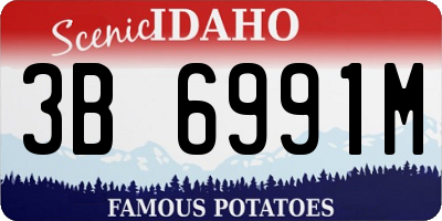 ID license plate 3B6991M