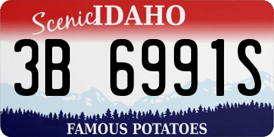 ID license plate 3B6991S