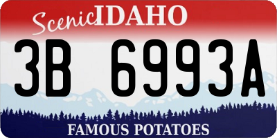 ID license plate 3B6993A