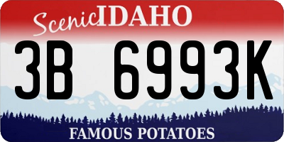 ID license plate 3B6993K