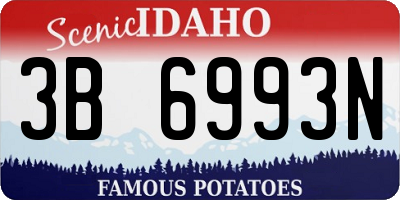 ID license plate 3B6993N