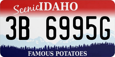 ID license plate 3B6995G