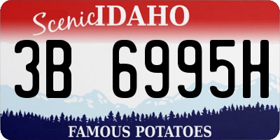 ID license plate 3B6995H