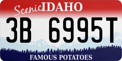 ID license plate 3B6995T
