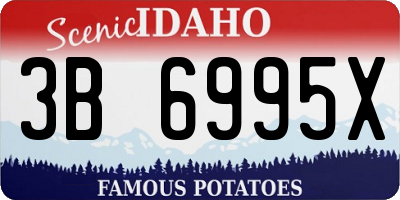 ID license plate 3B6995X