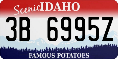 ID license plate 3B6995Z