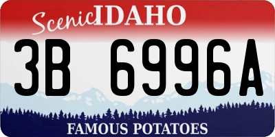 ID license plate 3B6996A