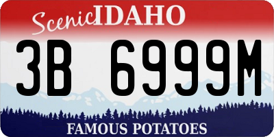 ID license plate 3B6999M