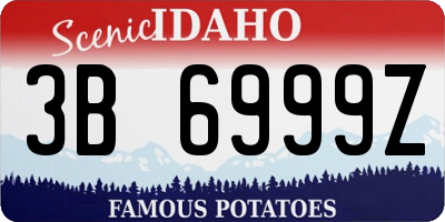 ID license plate 3B6999Z
