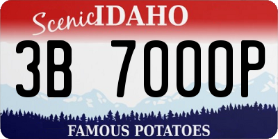 ID license plate 3B7000P
