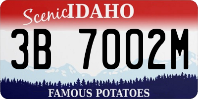 ID license plate 3B7002M