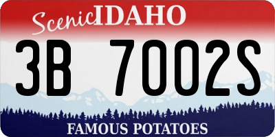 ID license plate 3B7002S