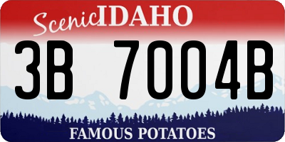 ID license plate 3B7004B