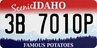 ID license plate 3B7010P