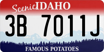 ID license plate 3B7011J