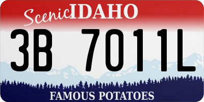 ID license plate 3B7011L