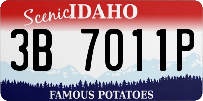 ID license plate 3B7011P