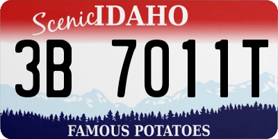 ID license plate 3B7011T