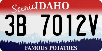 ID license plate 3B7012V