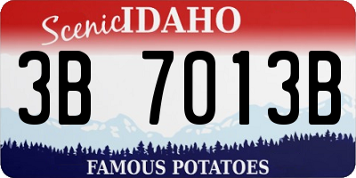 ID license plate 3B7013B