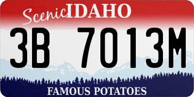 ID license plate 3B7013M